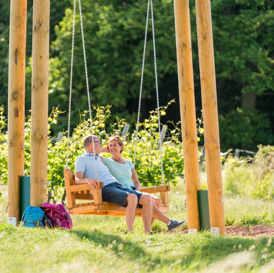 Two people sitting on a wooden swing in a sunny garden setting