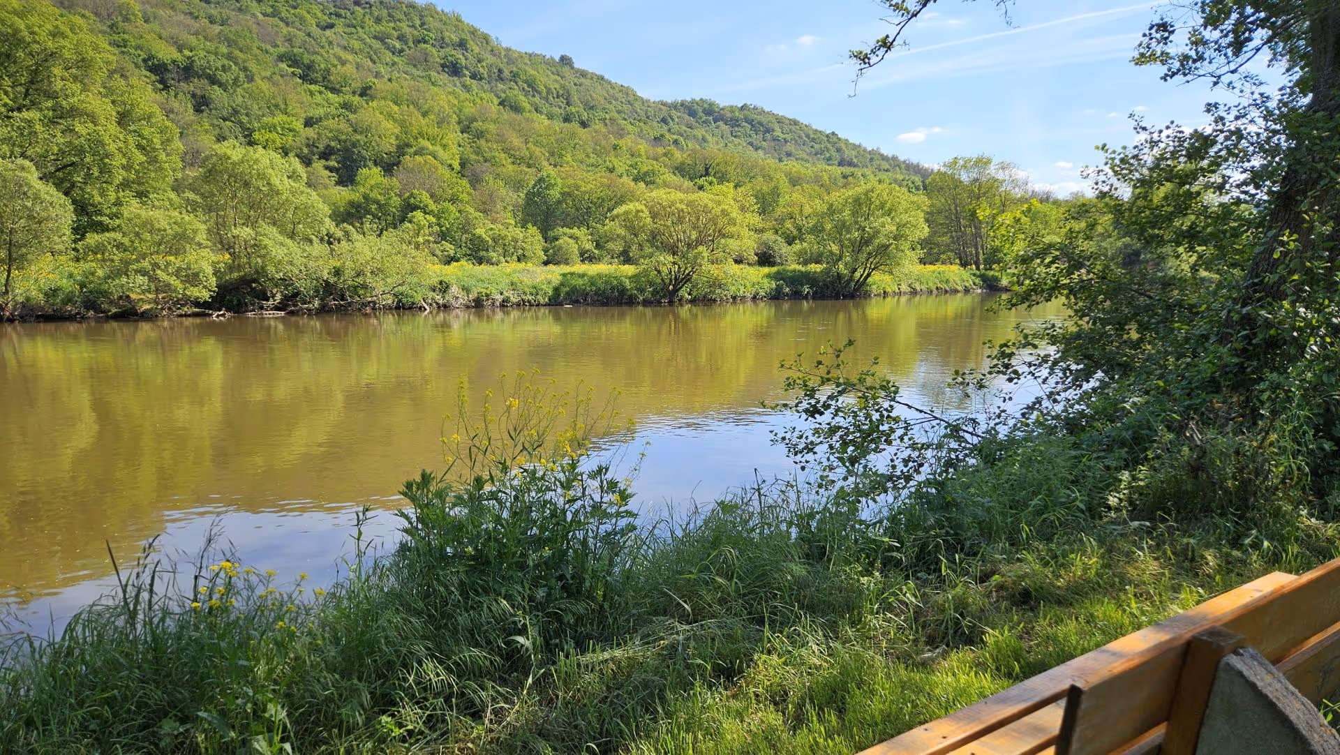 Ruhiger Fluss mit grünen Ufern und Wäldern an einem sonnigen Sommertag