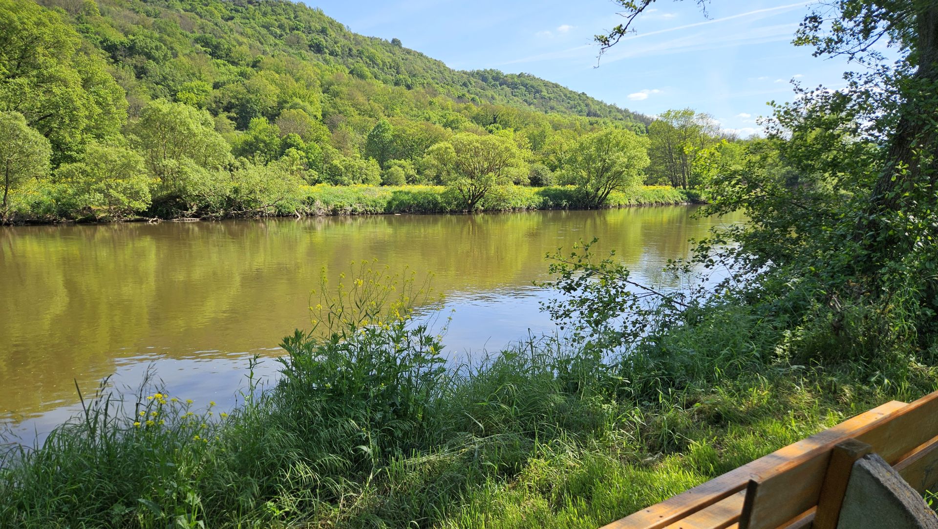 Peaceful river flowing through lush green forest with wooden bench