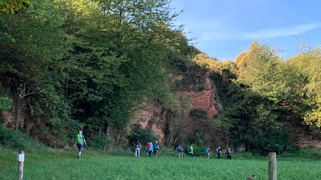 Hikers walking on green field near forest and rocky cliff wall