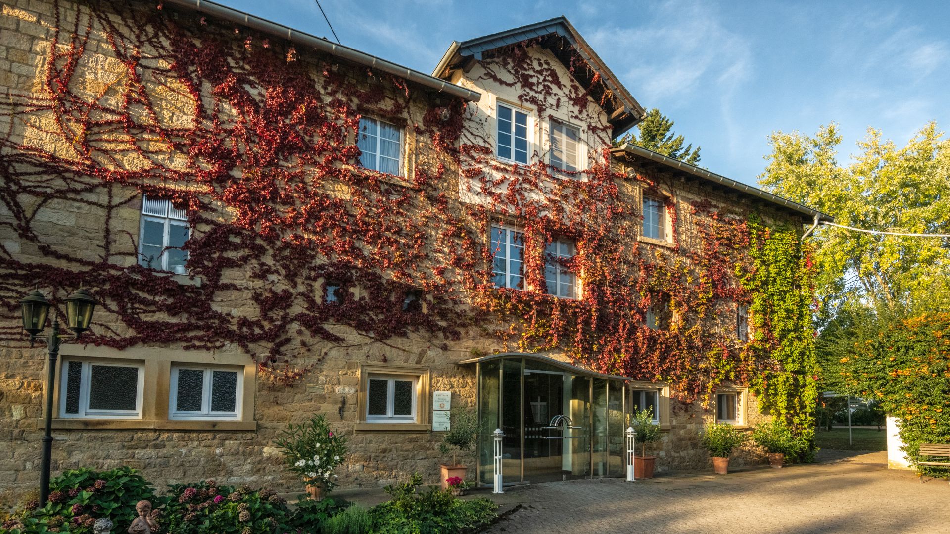 Stone building covered in vibrant autumn-colored ivy under blue sky