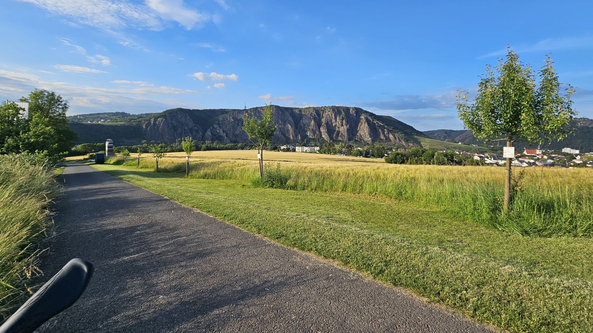 Paved path through grassy field with rocky mountains and blue sky backdrop