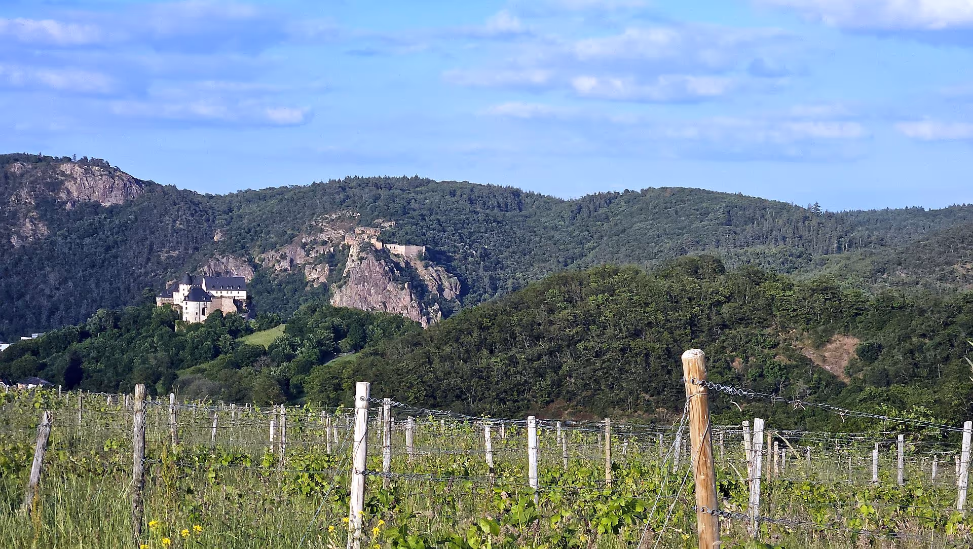 Vineyard with white castle and rocky mountains in lush green landscape