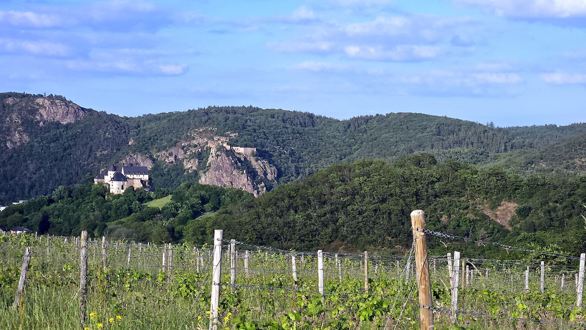 Vineyard with white castle and rocky mountains in lush green landscape