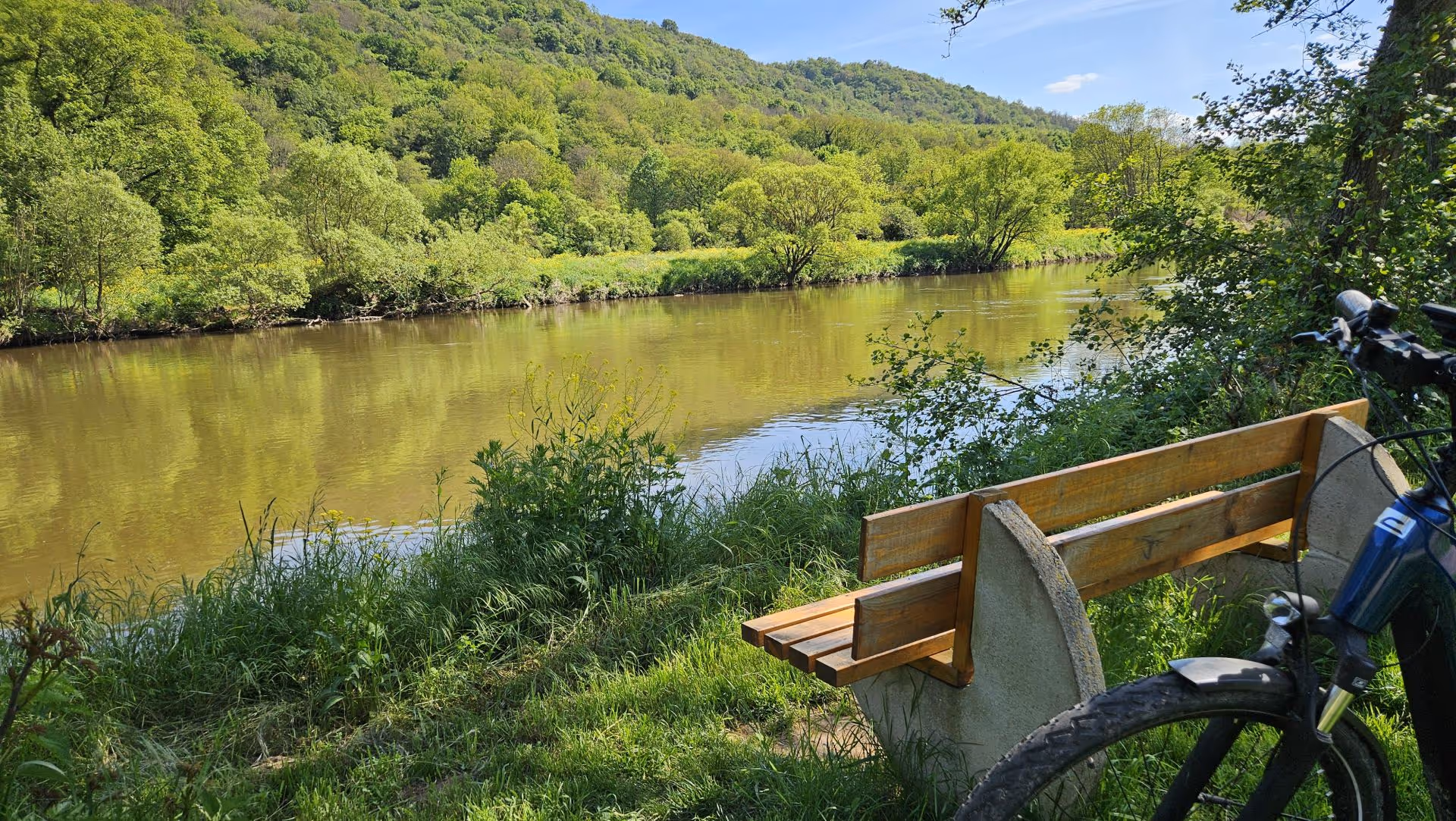 Wooden bench by river with green forest and bicycle in foreground