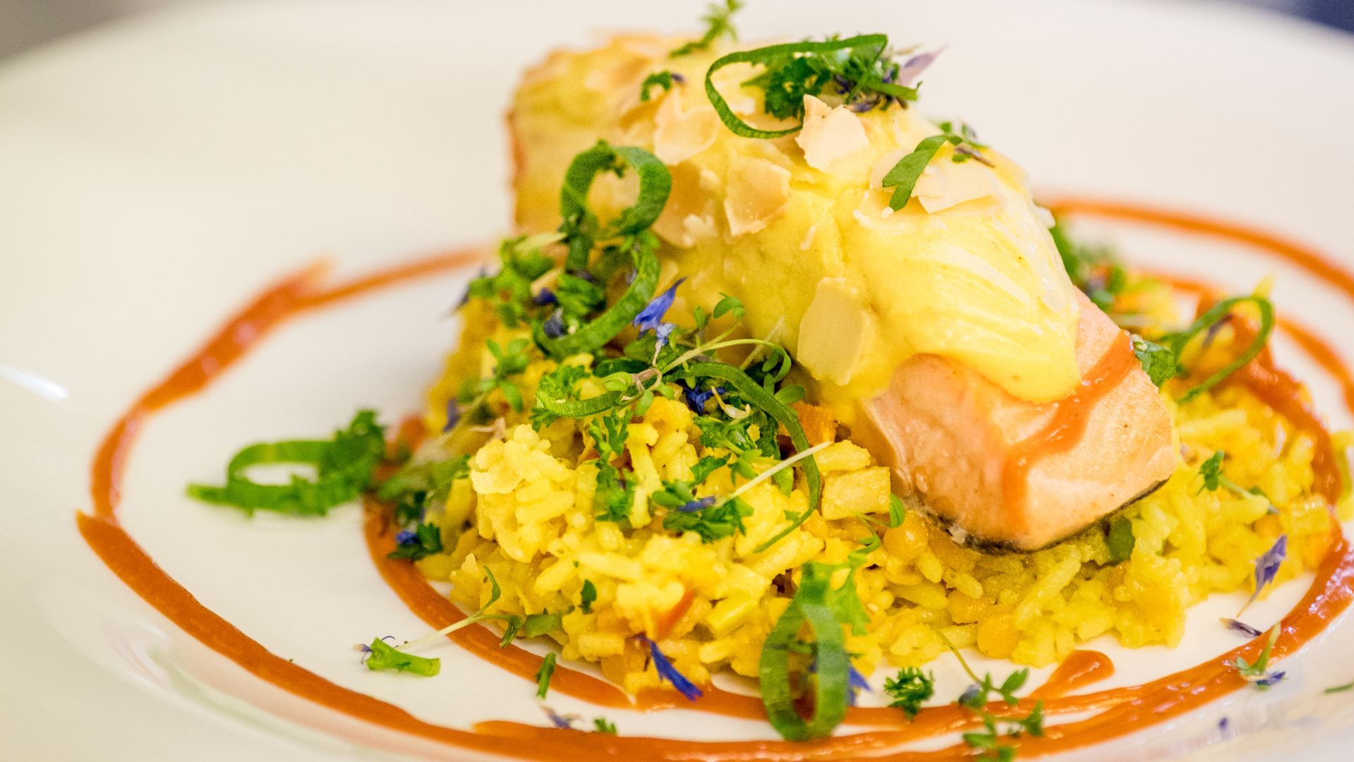 Gourmet salmon with saffron risotto, garnished with herbs on white plate