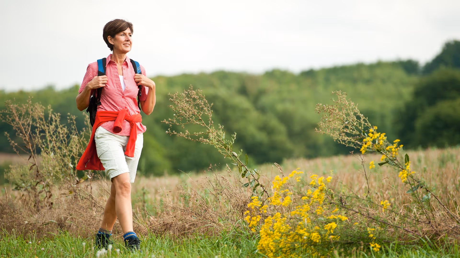 Woman hiker with backpack walking through field with yellow wildflowers