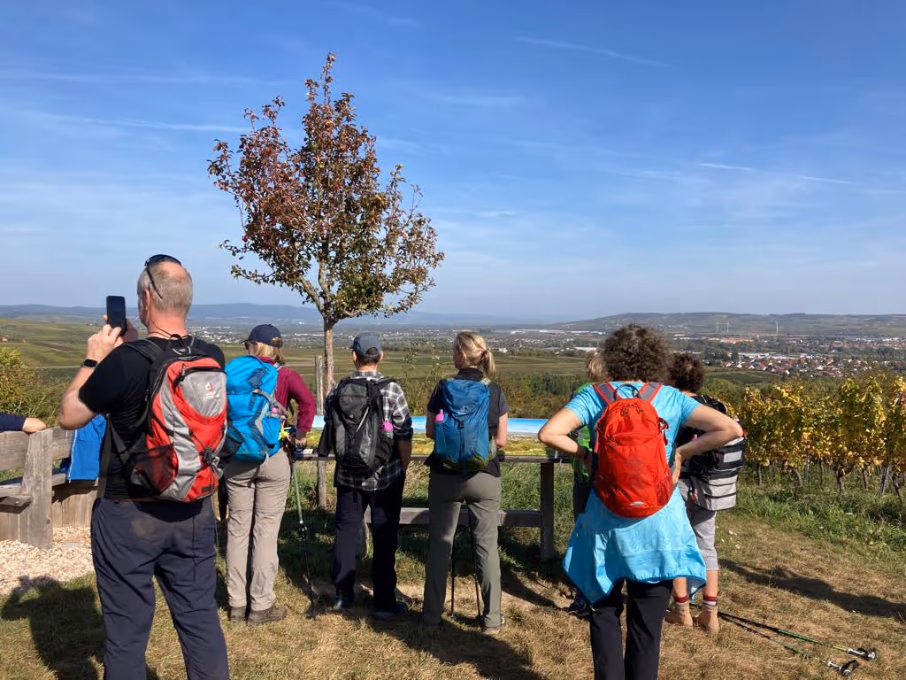 Wandergruppe mit Rucksäcken blickt auf Landschaft mit blauem Himmel