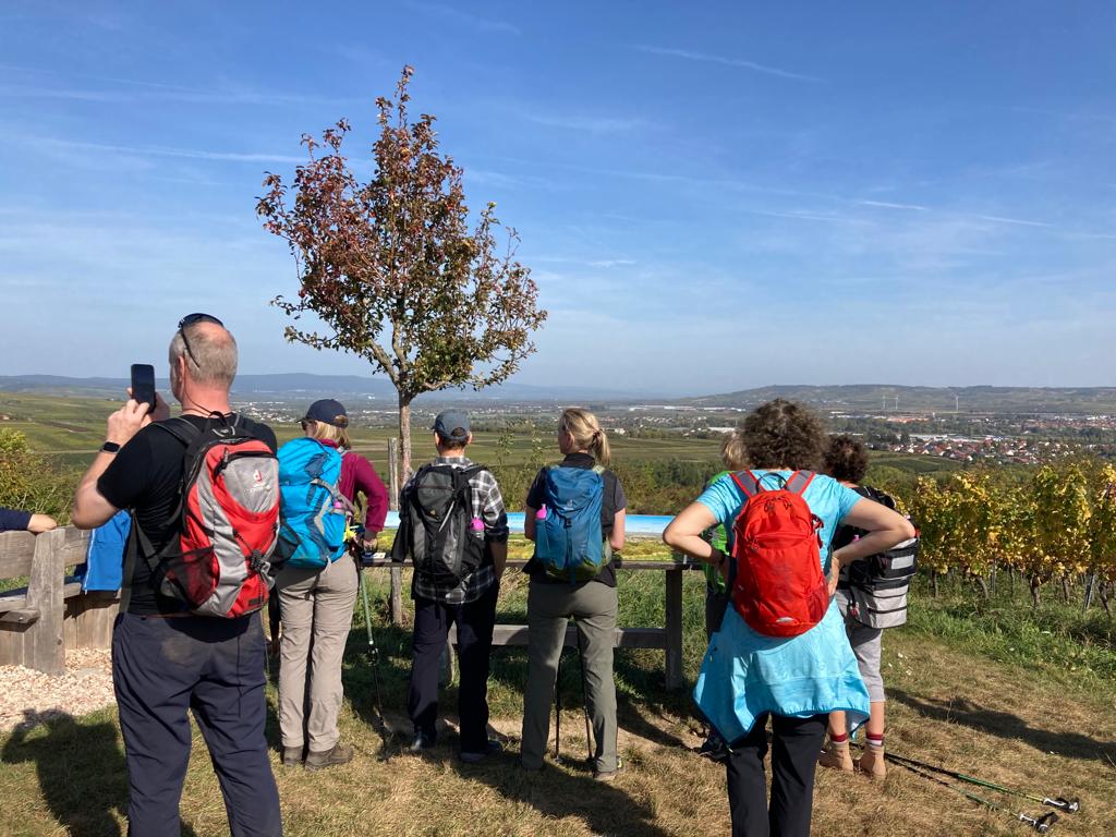 Hikers with backpacks overlooking scenic landscape and distant town