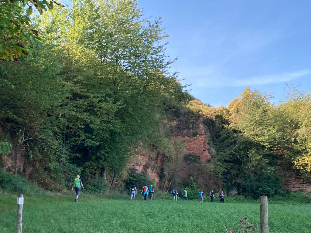 Hikers walking on green field near rocky cliff and autumn trees