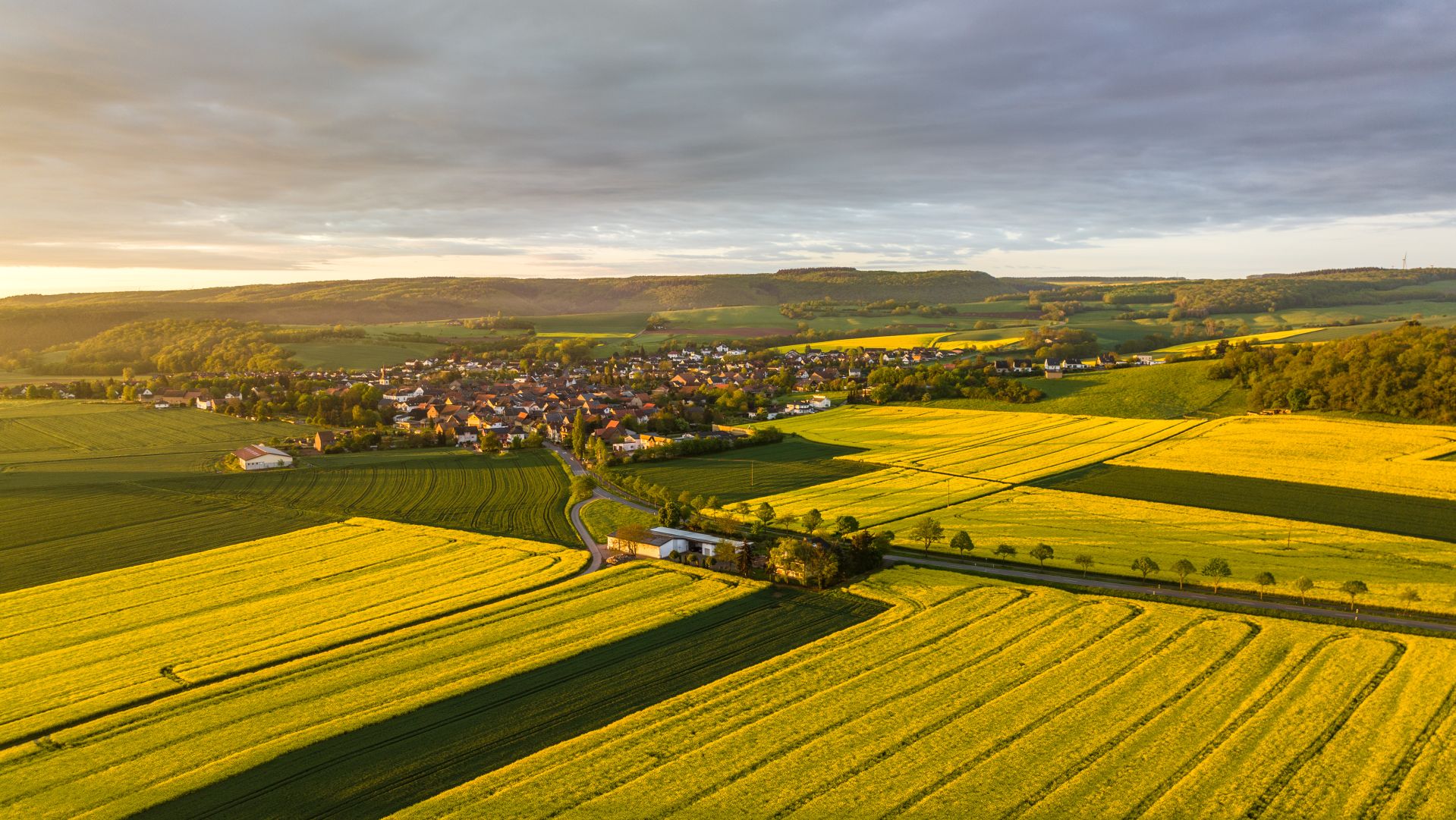 Aerial view of village nestled among vibrant yellow canola fields and green farmland