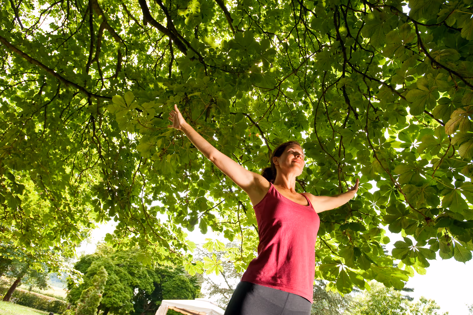 Qigong-Kurs im Park des Menschels Vitalresort