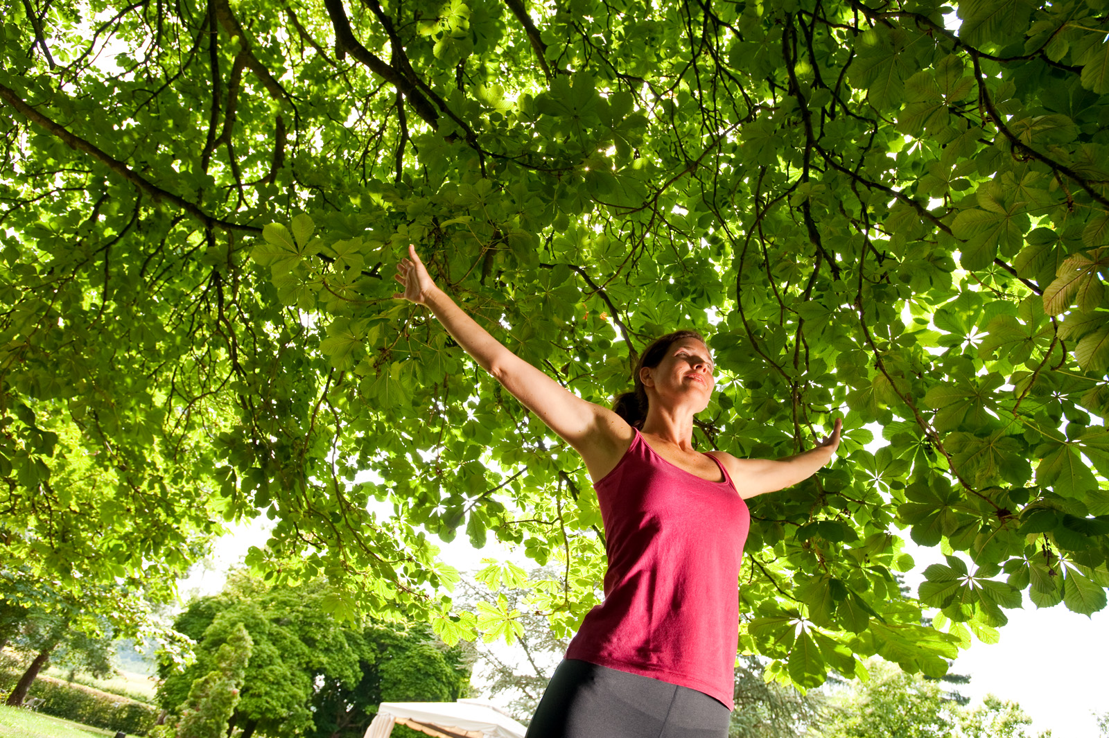 Qigong-Kurs im Park des Menschels Vitalresort