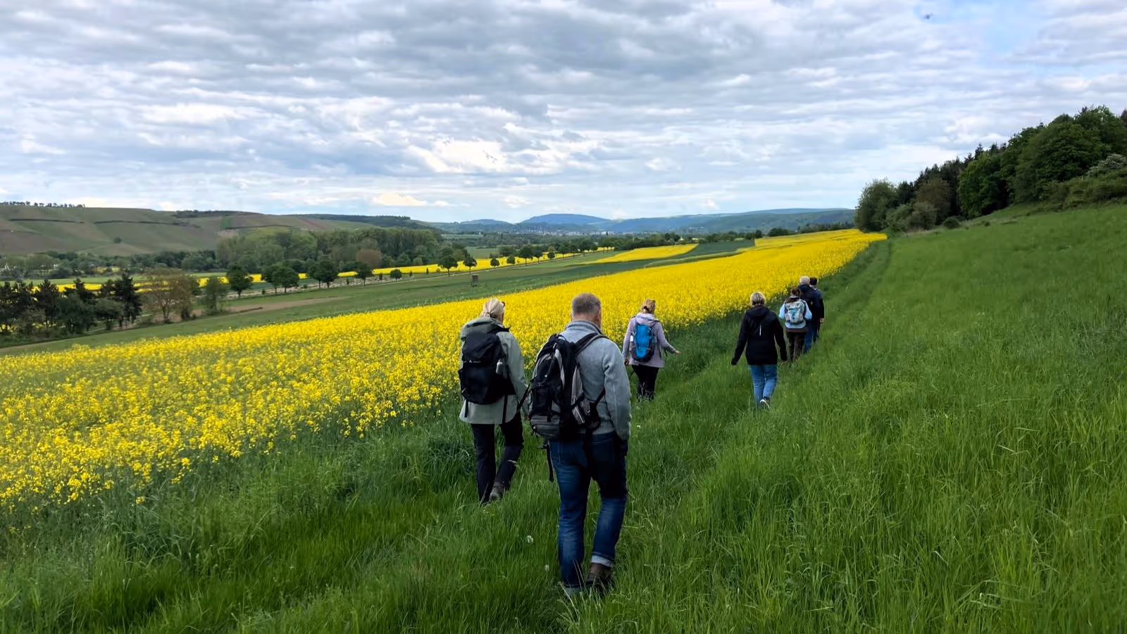 Wandern durch die Weinberge