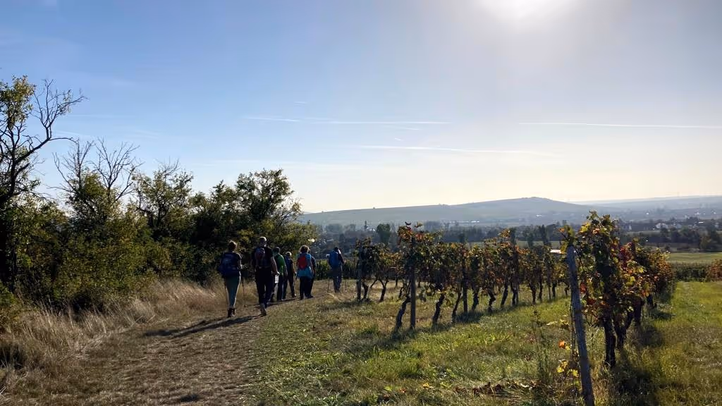 Fastenwandern Menschels Weinberge