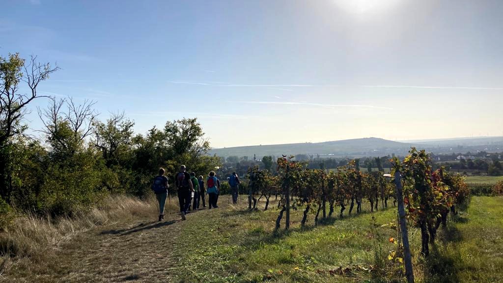Fastenwandern Menschels Weinberge