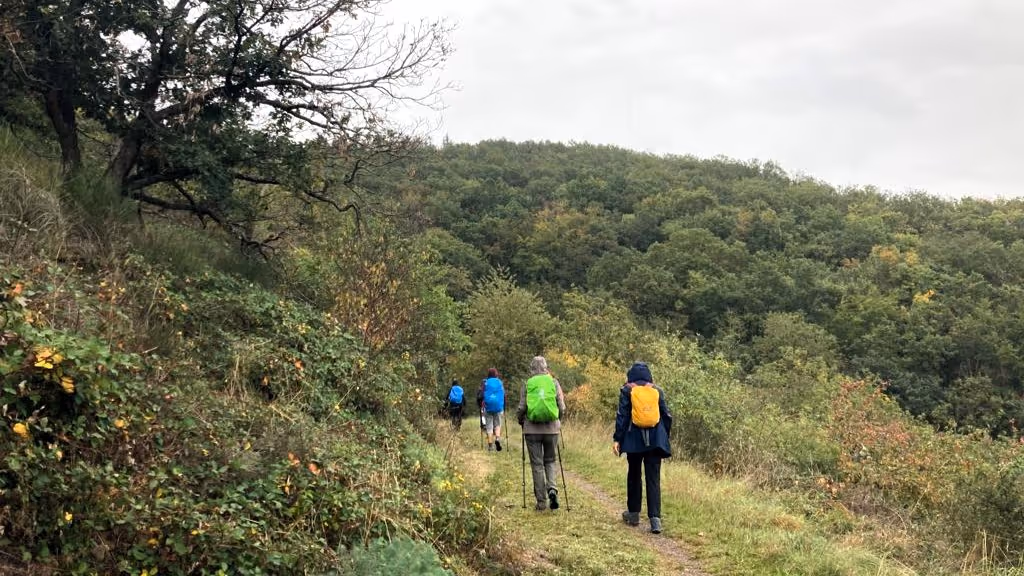 Wanderung im Naheland