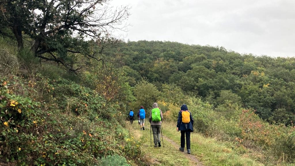Wanderung im Naheland