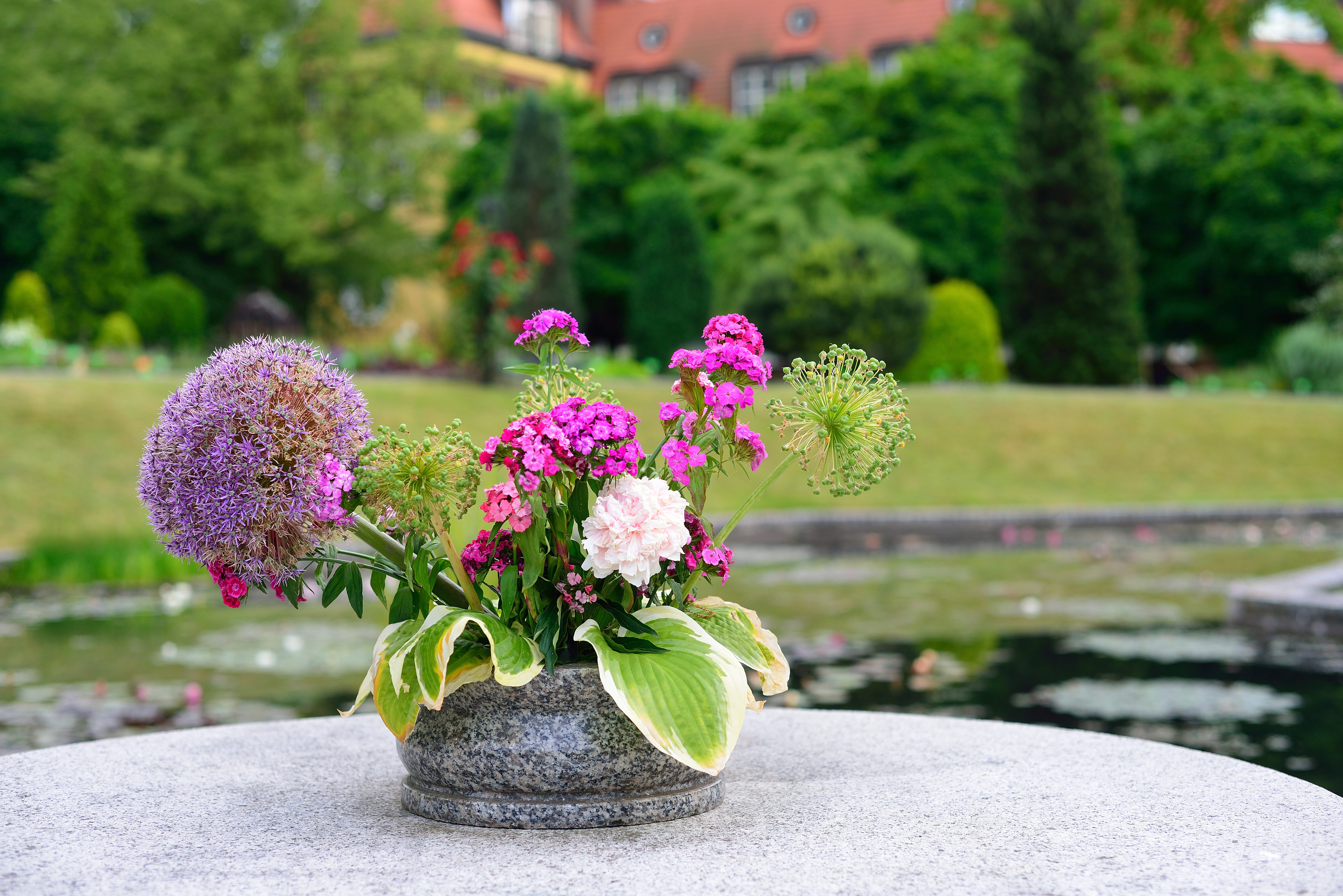 Spring Deck Prep in Denver: Spring Deck Maintenance & Cleaning Checklist Before Outdoor Season