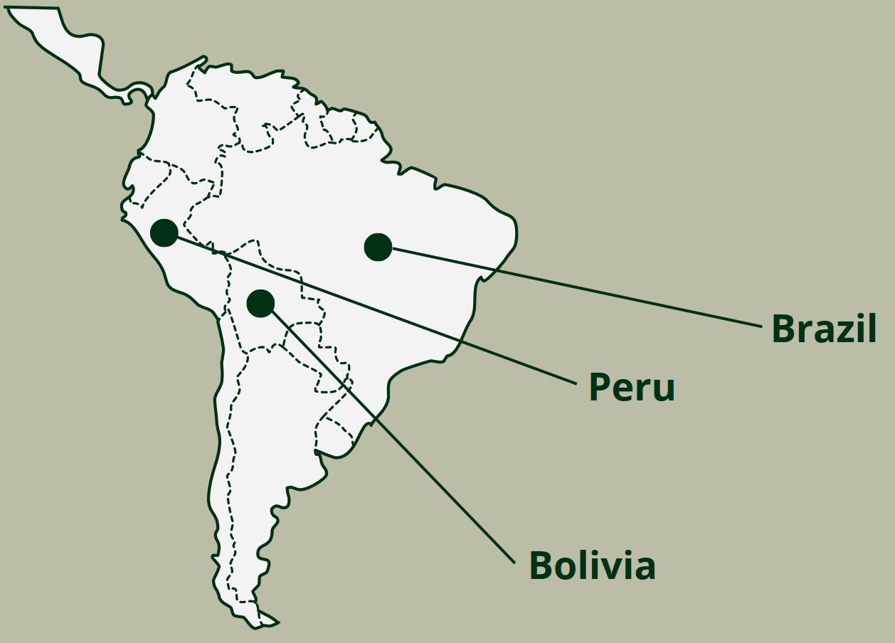 Map of south america with arrows pointing to Brazil, Peru and Bolivia