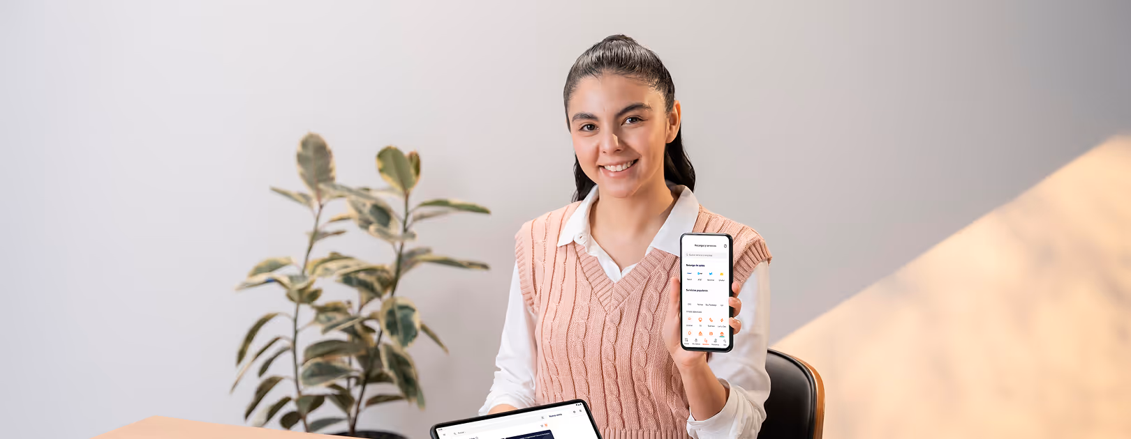Terminal móvil, pagos con tarjeta