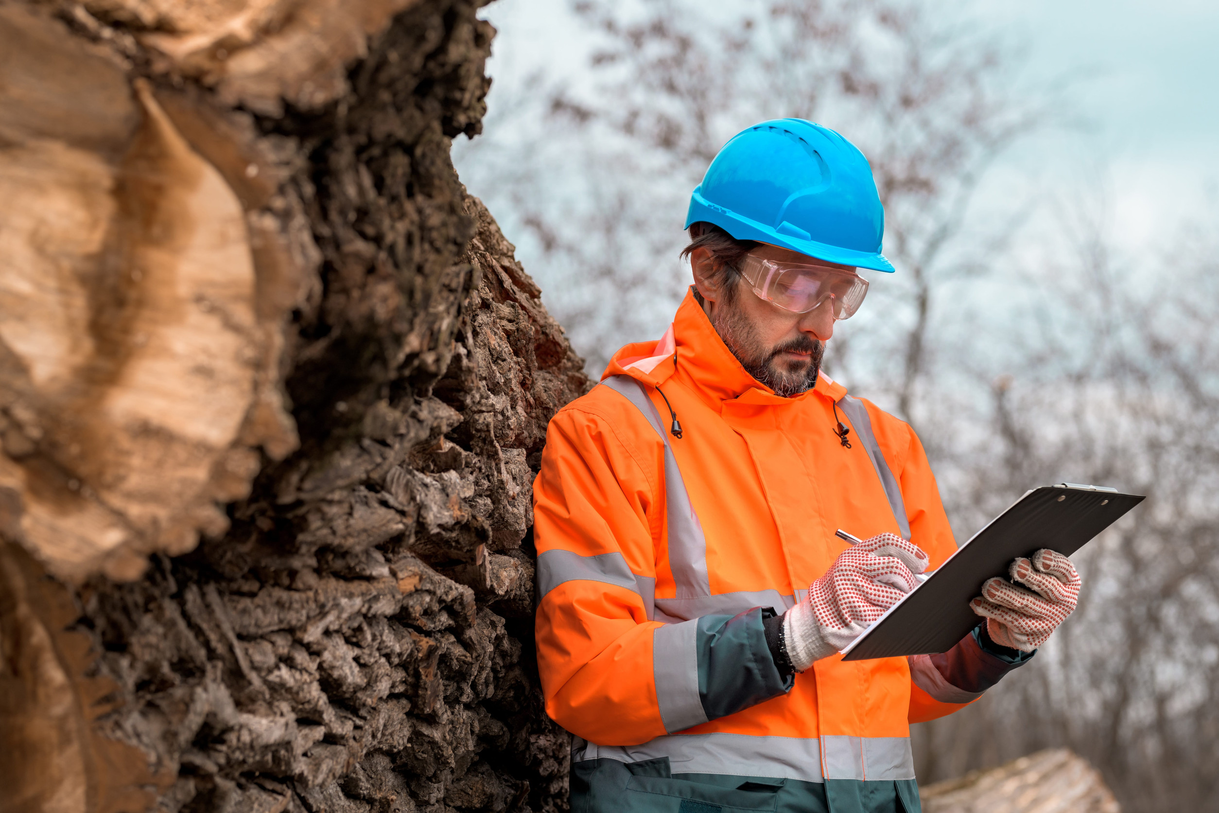tree service farmville nc