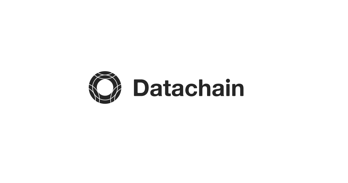 datachain website preview