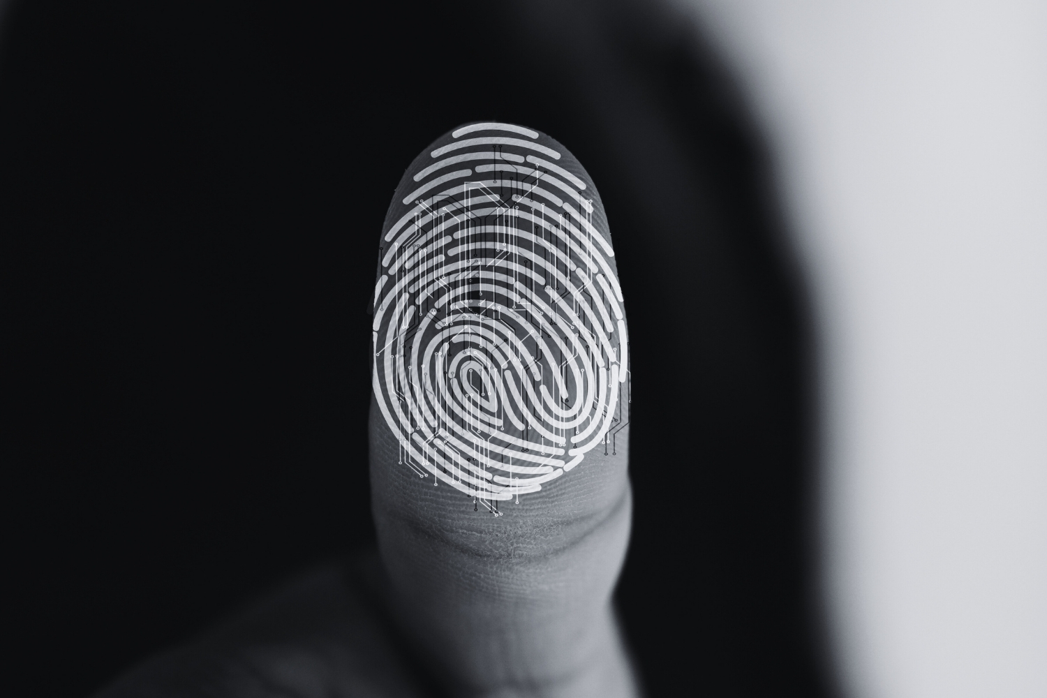 Sormenjälki tietoturva