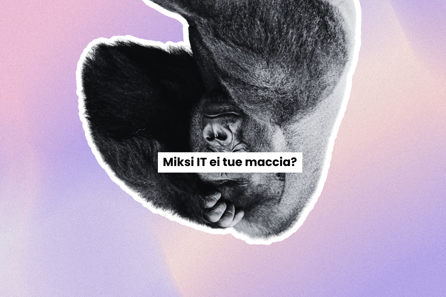 Miksi it ei tue macceja