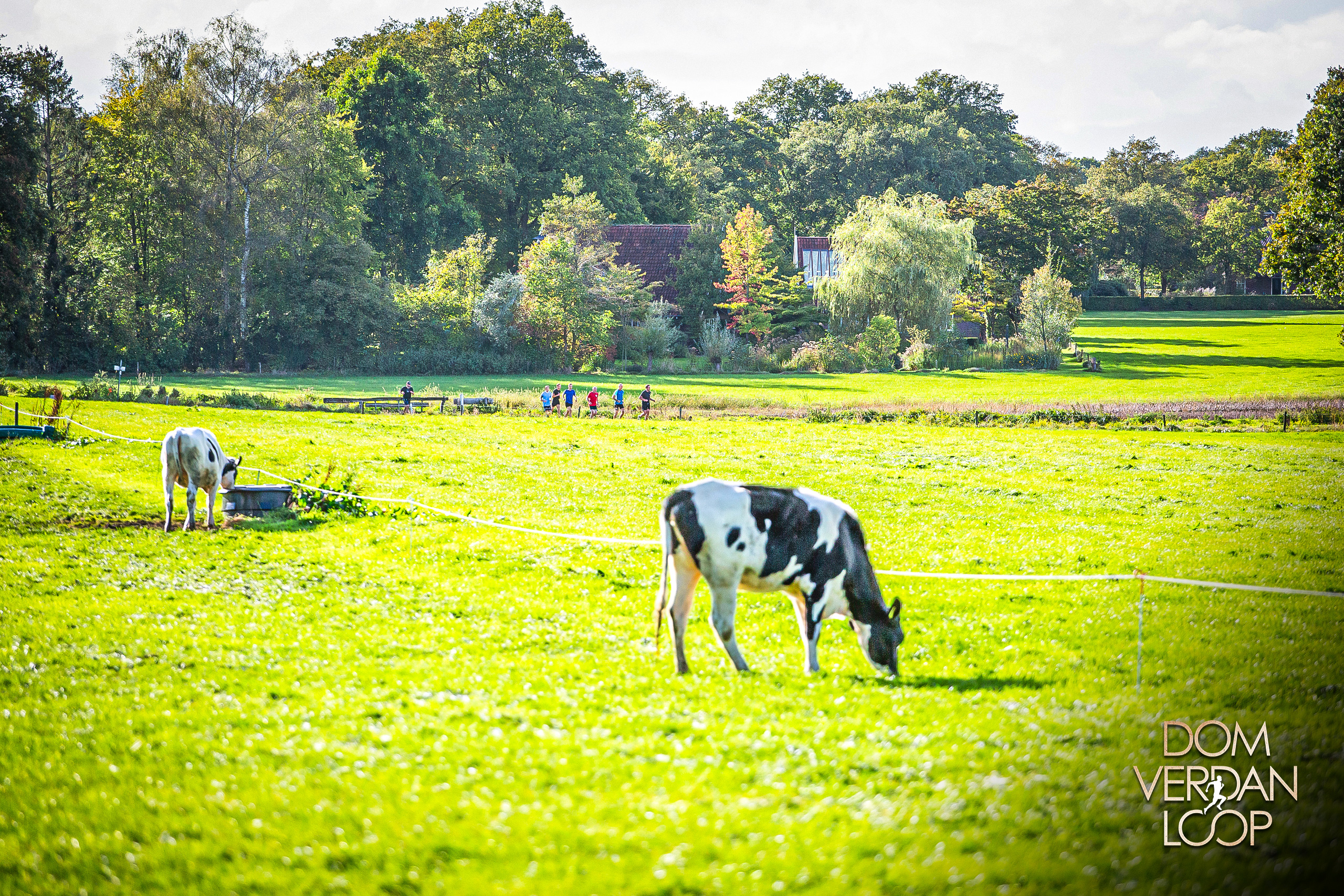 NIEUWSBRIEF GEMIST: [PRAKTISCHE INFORMATIE] Klaar voor de Dom Verdan Trail? Alles wat je moet weten!