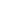 SBT, Sistema Brasileiro de Televisão