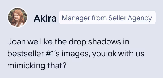 Seller agency providing AI crop comments on variant image for a product listing.