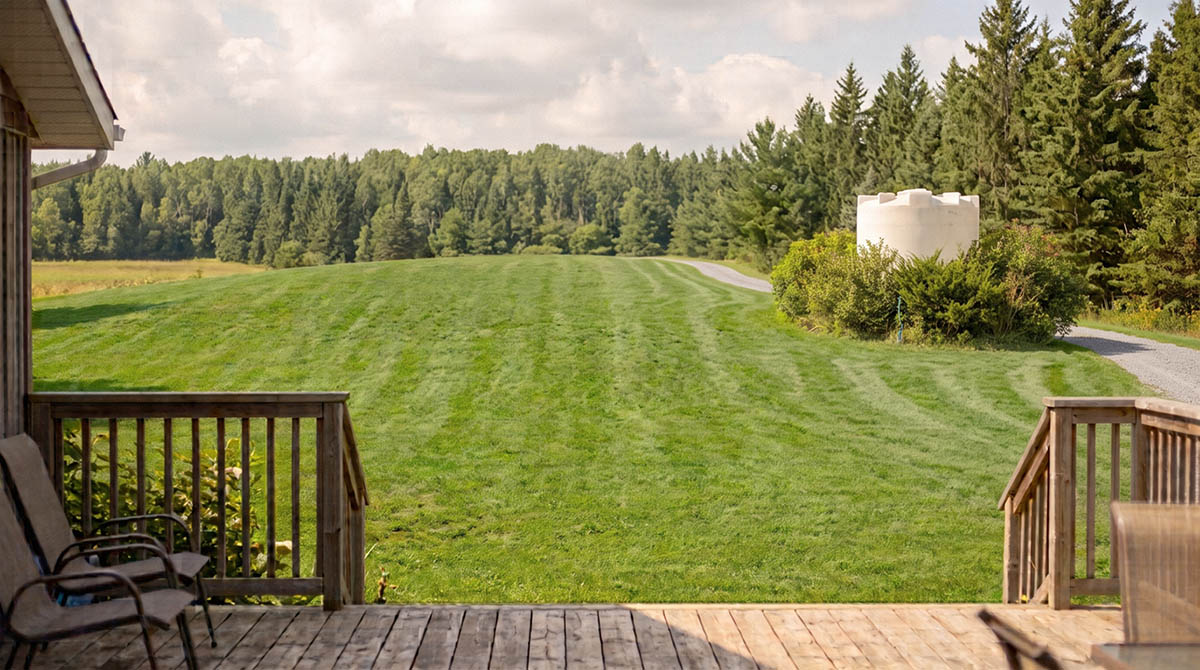 White polyethylene water-storage tanks positioned on a rise near a treeline on a rural property