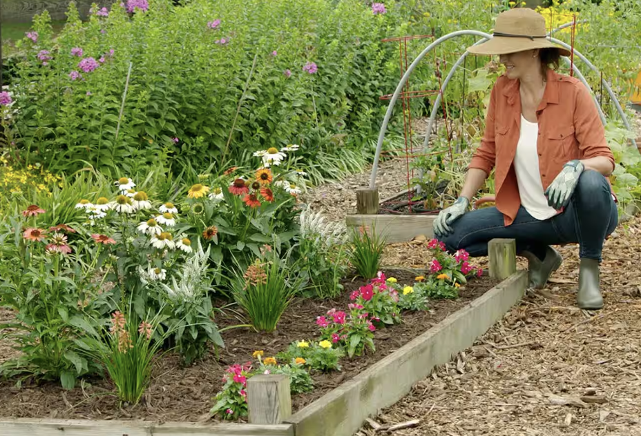 Gardening with Joint Pain: Tips for WNY Residents to Enjoy the Outdoors 🌻