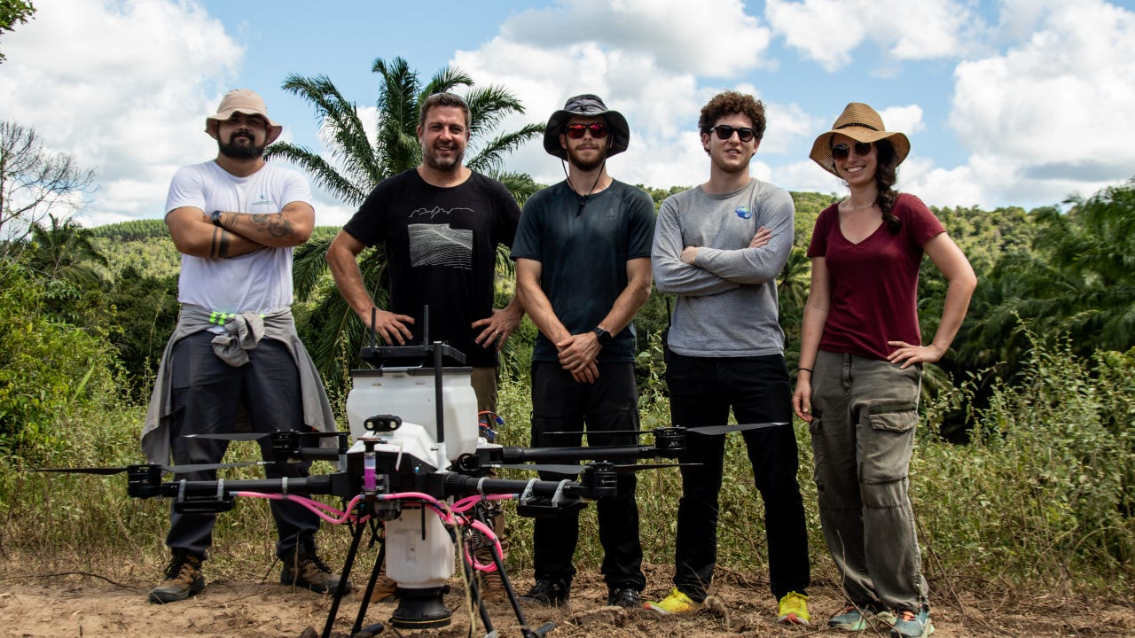 MORFO combines biological symbiosis, artificial intelligence, and drones for large-scale reforestation