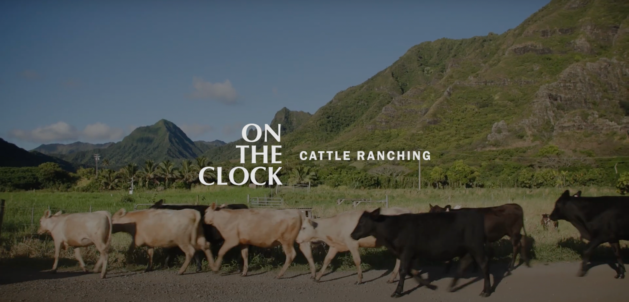 Local Food Production