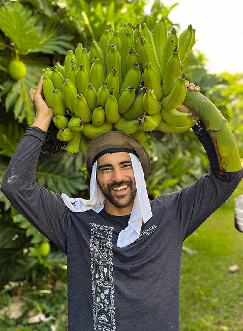 Orchard & Tropical Fruit Production
