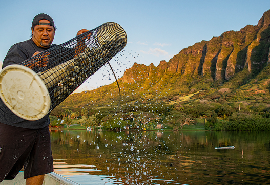 Where Tradition Meets Innovation
