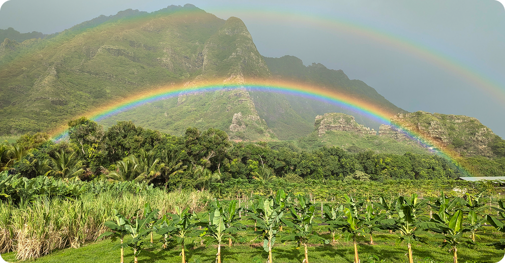 Expanding Local Food Security