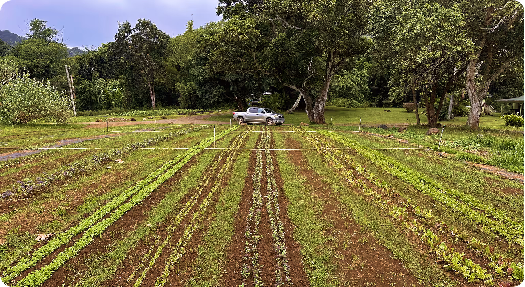 Where Culture and Cultivation Meet