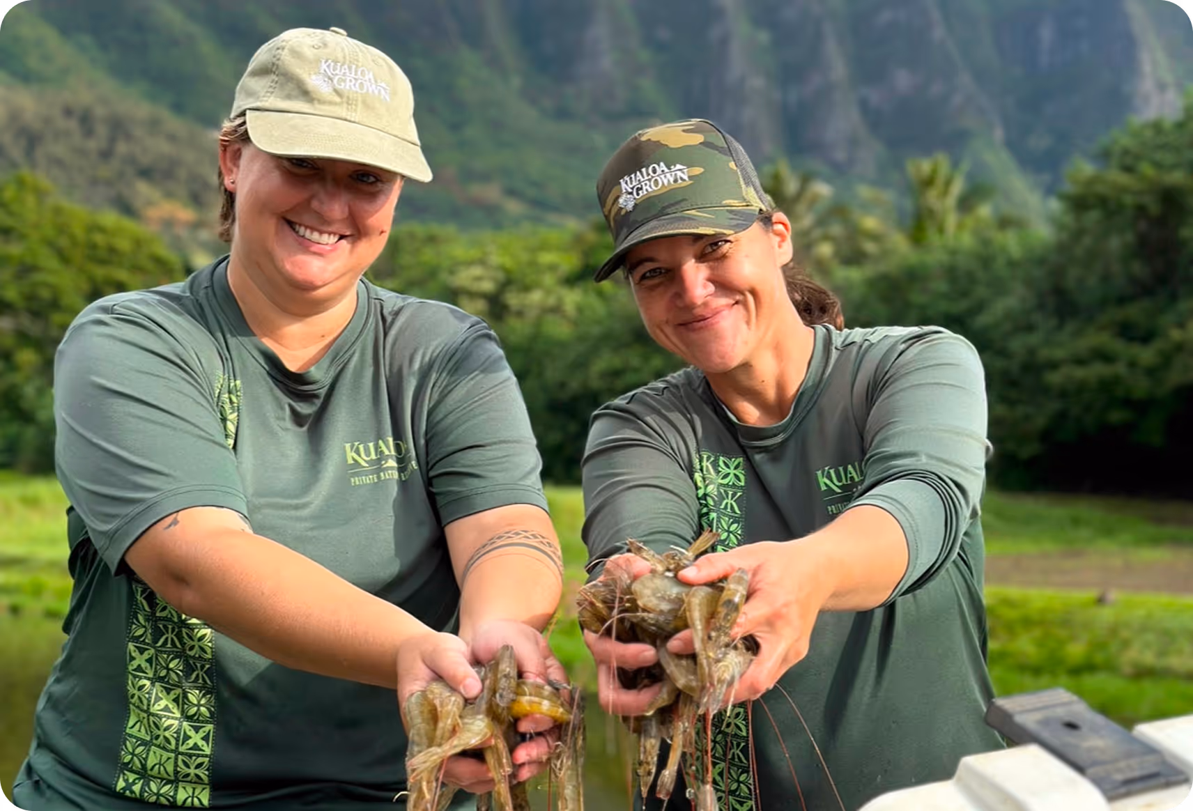 Regenerative  Aquaculture