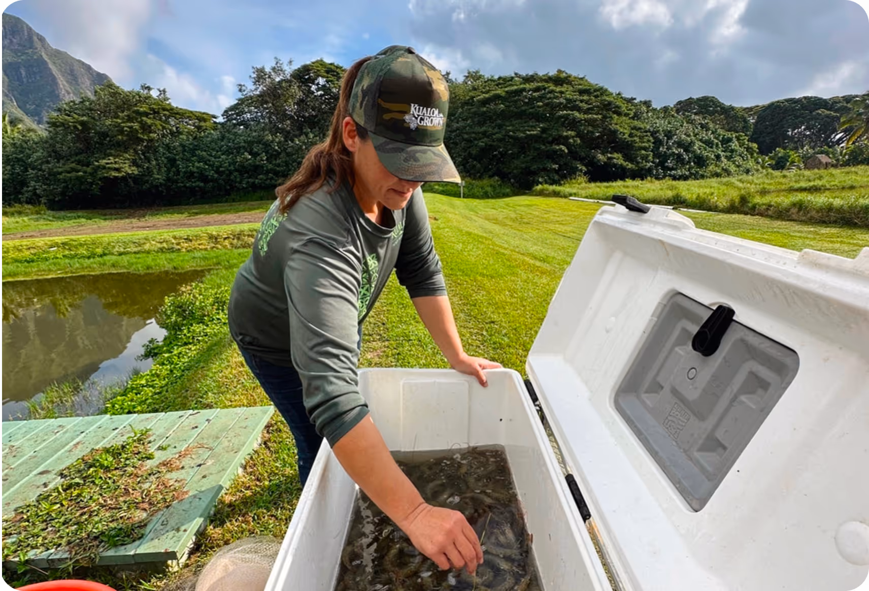 Regenerative  Aquaculture