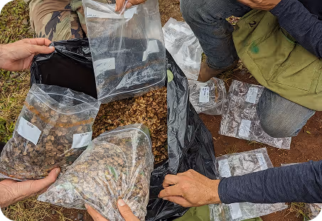 Kualoa Team Members with Seeds