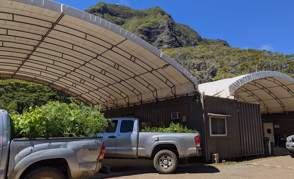 kualoa native plant nursery