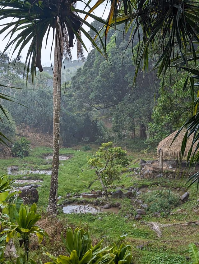 punwai kola 003
