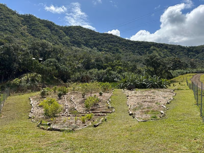 waipili 007