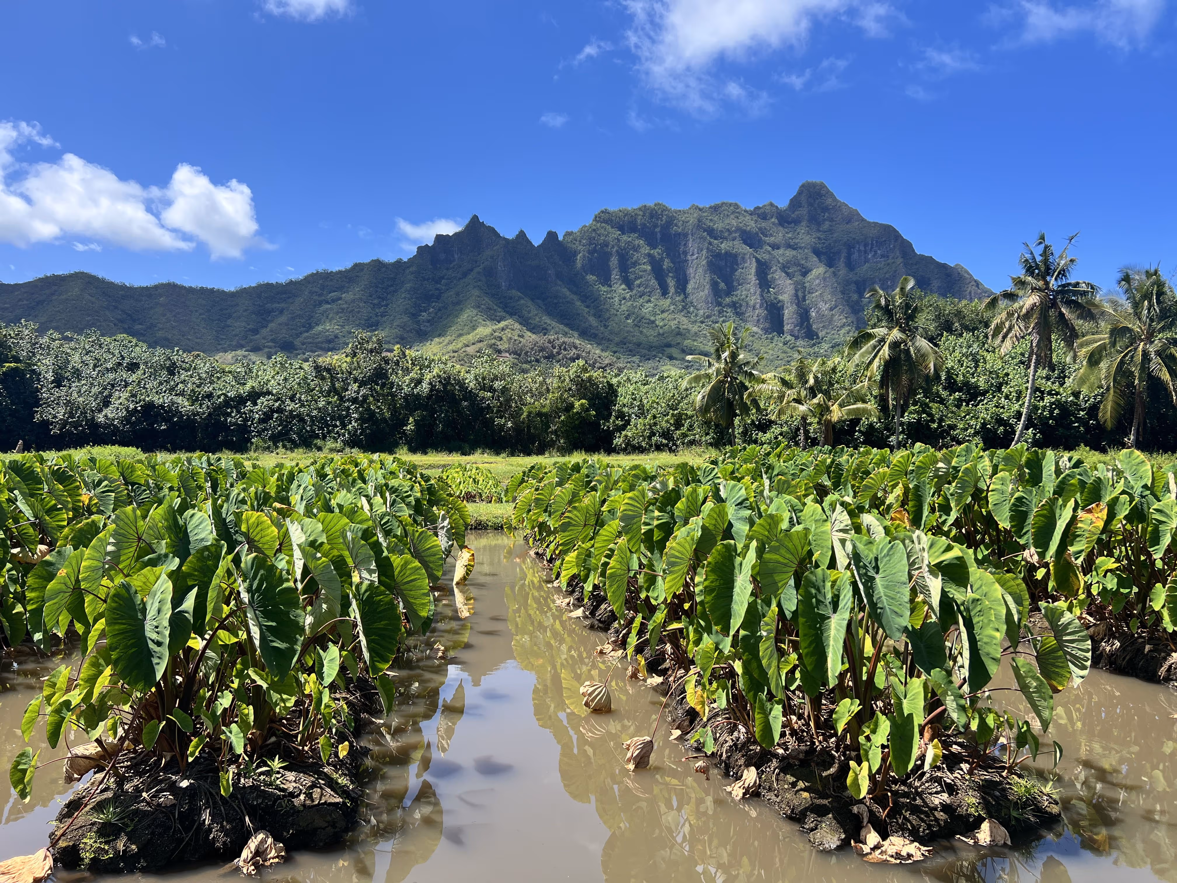 Watershed_Extra_Slider_Images_-_006