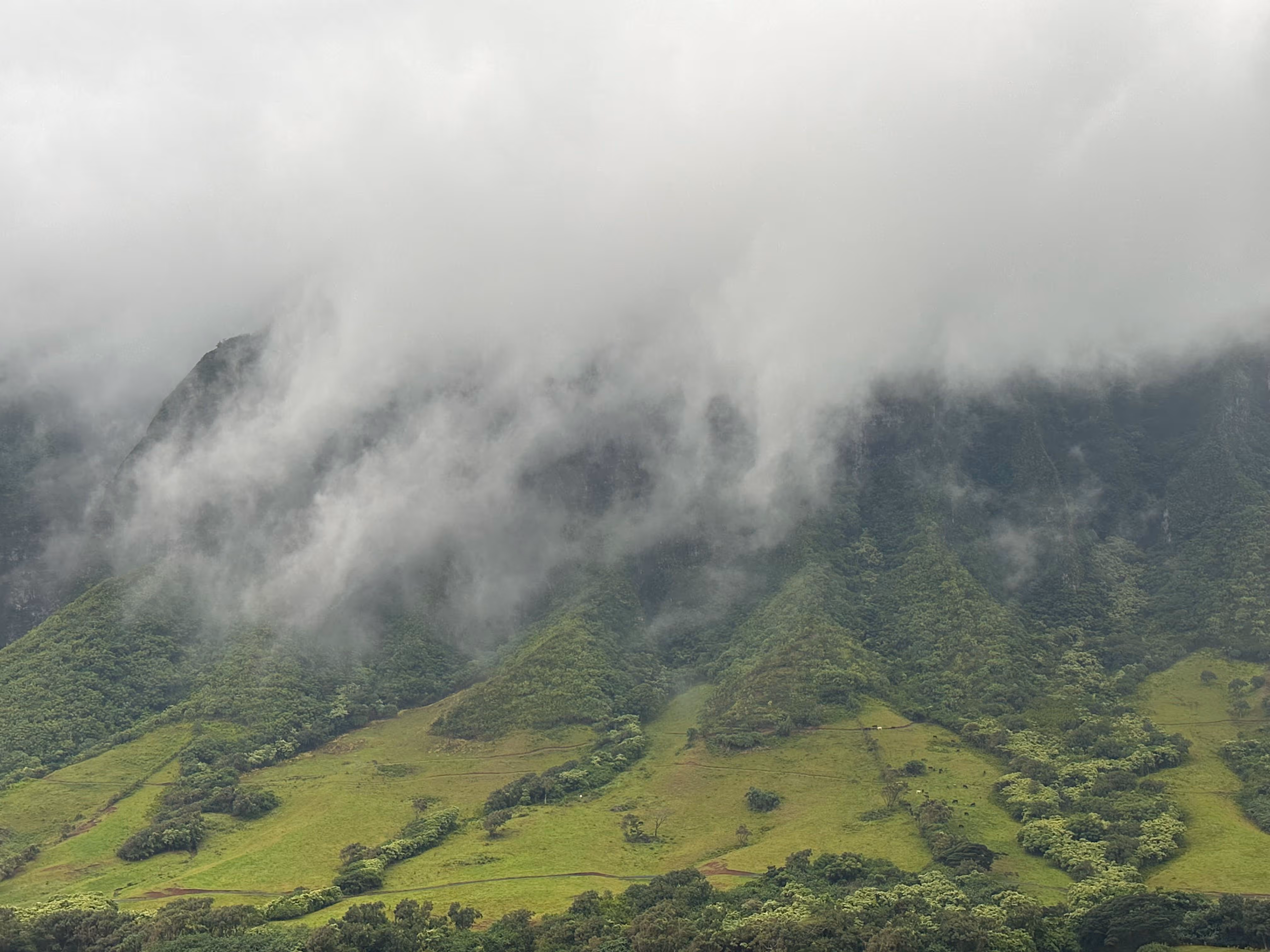 Watershed_Extra_Slider_Images