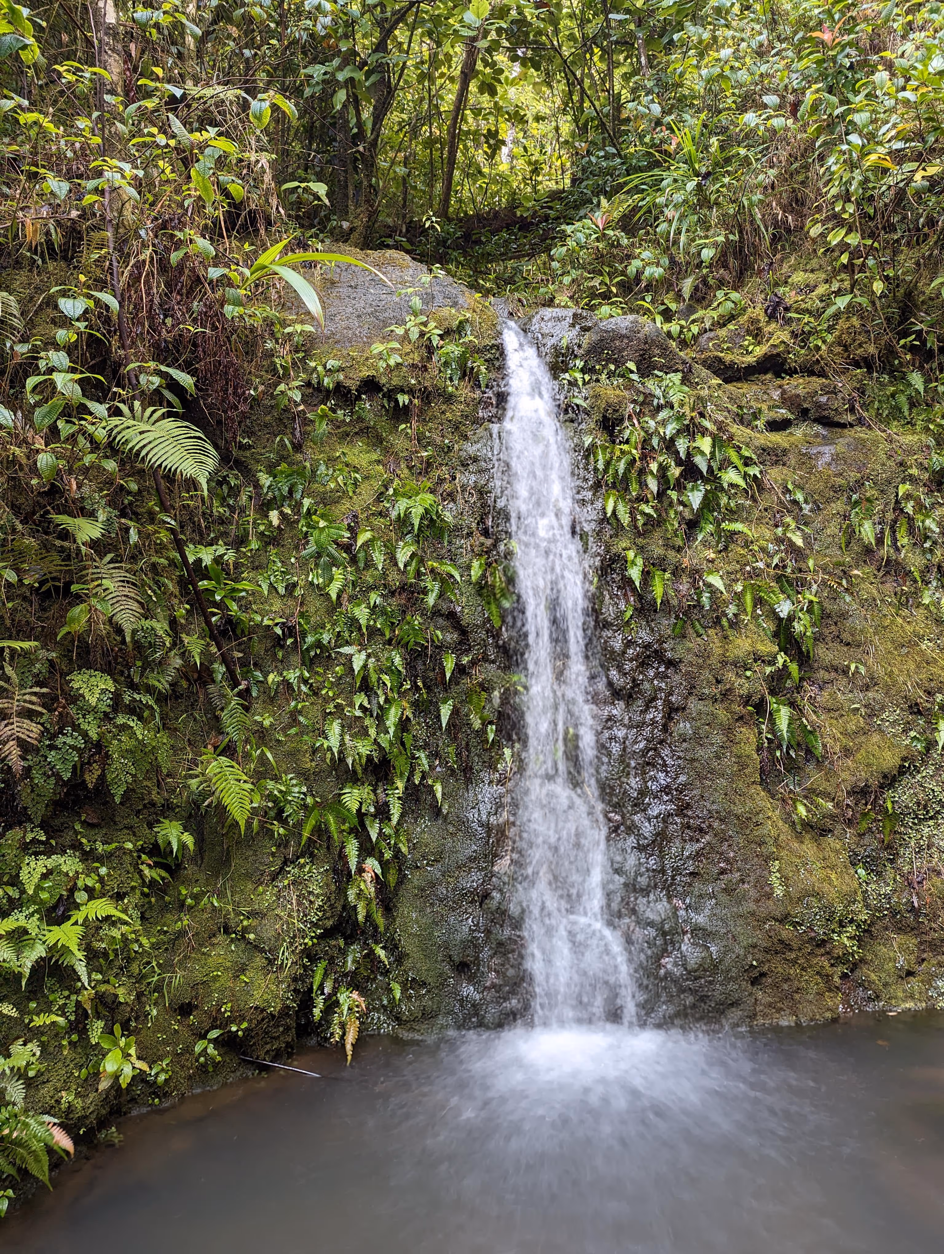 Watershed_Extra_Slider_Images_-_009