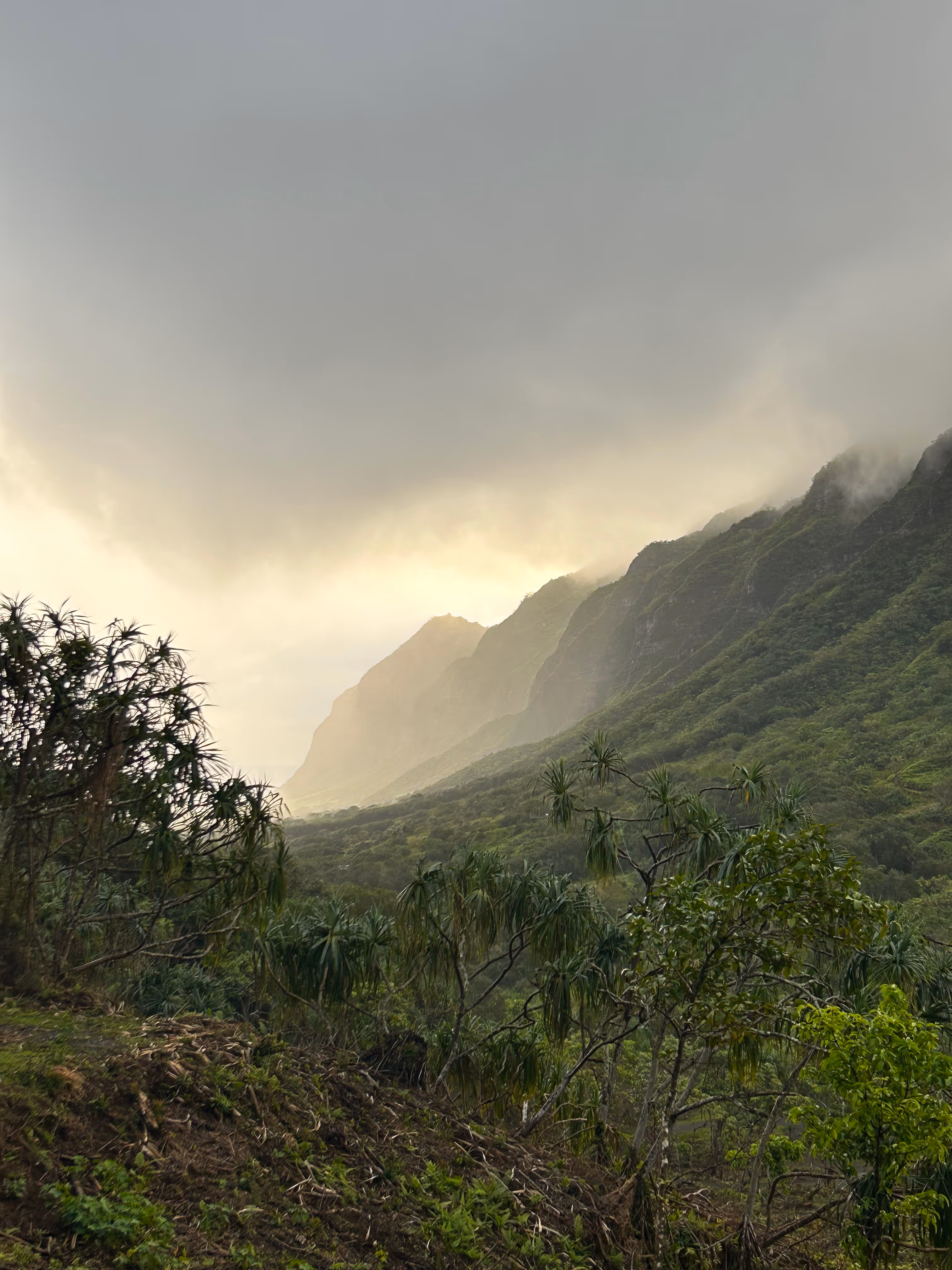 Watershed Extra Slider Images - 002 (1)